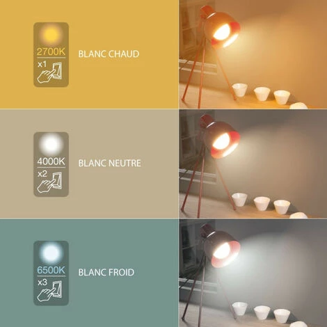 XANLITE - Ampoule LED G95, Culot E27, 10W Cons. (60W Eq.), CCT Température De Lumière Variable 2700k - 6000k - SE60BCCT â Image 2