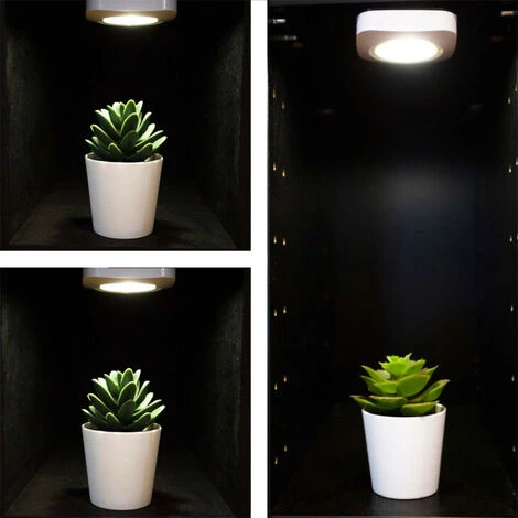 XANLITE - Lot De 2 éclairages D'appoint - Tactile - 50 Lumens - Blanc Neutre - PACK2ECP30TCW – Image 4