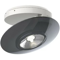 XANLITE - Spot En Saillie LED - Orientable - Bague Grise - Cons. 4,5W (eq. 40W) - 300 Lumens - Blanc Chaud - SPESG350