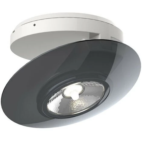 XANLITE - Spot En Saillie LED - Orientable - Bague Grise - Cons. 4,5W (eq. 40W) - 300 Lumens - Blanc Chaud - SPESG350