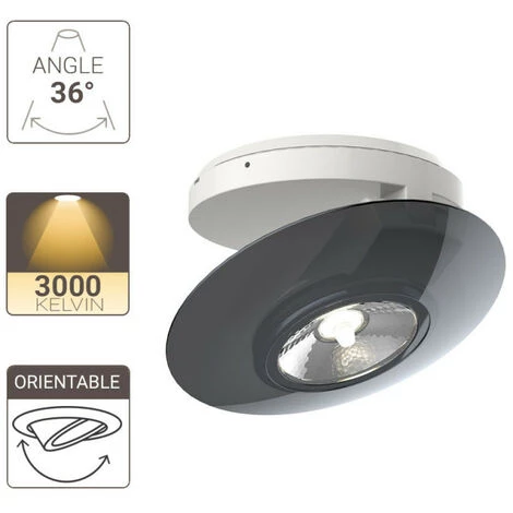 XANLITE - Spot En Saillie LED - Orientable - Bague Grise - Cons. 4,5W (eq. 40W) - 300 Lumens - Blanc Chaud - SPESG350 â Image 2